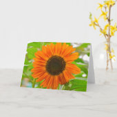 ひまわりの挨拶状 カード (黄色い花)
