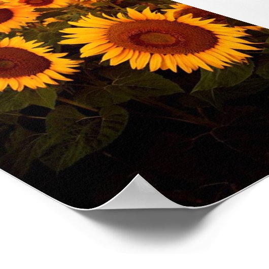 ひまわりの日の入り ポスター (角)