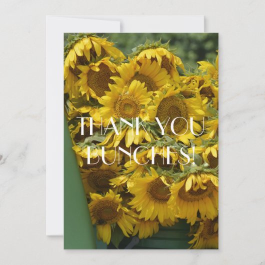 ひまわりの束 サンキューカード (正面)