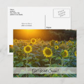 ひまわりの畑の夕日　回復お祈りポストカード ポストカード (正面/裏面)