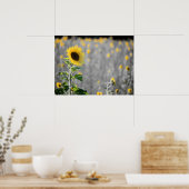 ひまわりの畑 ポスター (キッチン)
