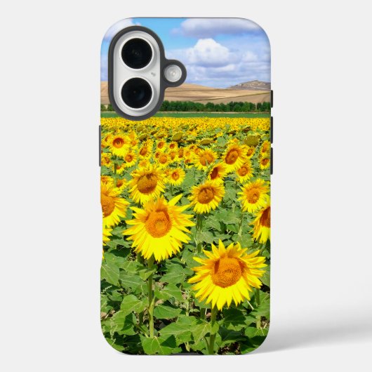 ひまわりの畑 Case-Mate iPhoneケース (裏面)