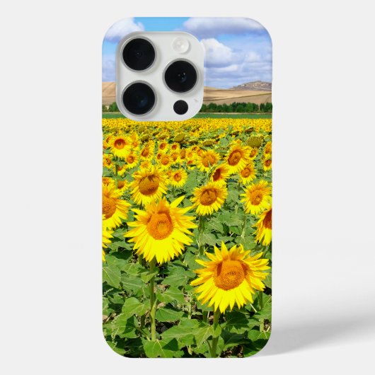 ひまわりの畑 Case-Mate iPhoneケース (裏面)