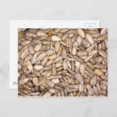 ひまわりの種子 ポストカード (正面/裏面)