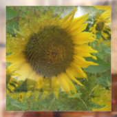 ひまわりの窓のカチカチ ウィンドウサイン (シート2)