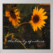 ひまわりの絵 ポスター (正面)