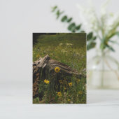 ひまわりの花と丸太 ポストカード (スタンド正面)