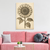 ひまわりの花のビンテージ植物画 キャンバスプリント (インサイチュ (リビング))
