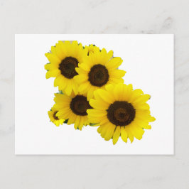 ひまわりの花を切る ポストカード