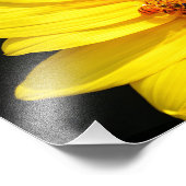 ひまわりの花を訪れるミツバチ フォトプリント (角)