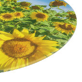 ひまわりの花畑、夏の晴れた日。 カッティングボード (角)