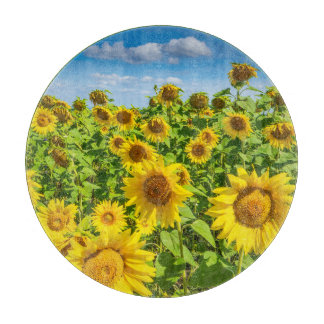ひまわりの花畑、夏の晴れた日。 カッティングボード