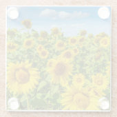 ひまわりの花畑、夏の晴れた日。 ガラスコースター (裏面)