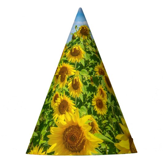 ひまわりの花畑、夏の晴れた日。 パーティーハット (正面)