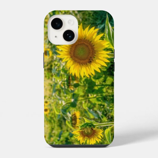 ひまわりの花畑 iPhoneケース (裏面)