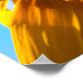 ひまわりの花 ポスター (角)