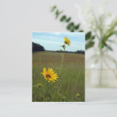 ひまわりの葉書 ポストカード (スタンド正面)