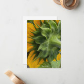ひまわりの裏側 ノートカード (正面/裏面インサイチュ)