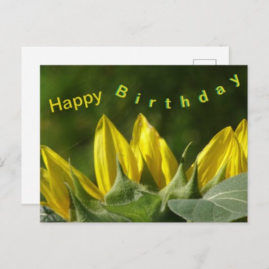 ひまわりの誕生日ポストカード ポストカード (正面/裏面)