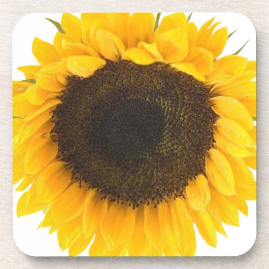 ひまわりの贈り物 コースター (正面)