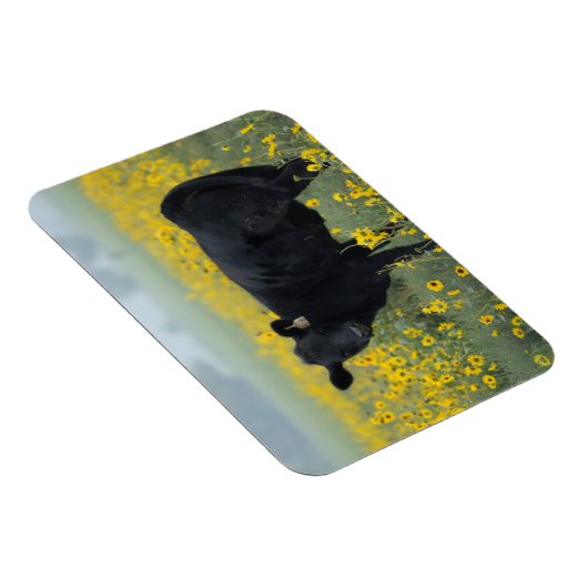 ひまわりの野に黒い子牛 マグネット (右側)