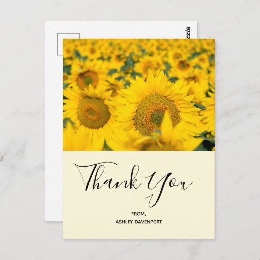 ひまわりの黄色い野ありがとう ポストカード (正面/裏面)