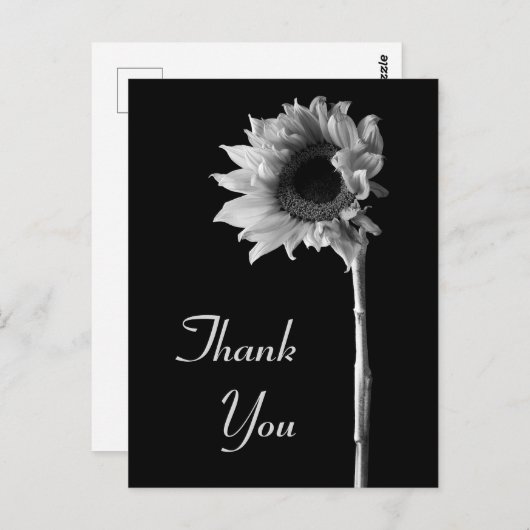 ひまわりの黒と白の写真 - サンクス ポストカード (正面/裏面)