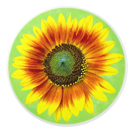ひまわりはっきりしたフローラ黄色と緑の花 セラミックノブ (正面)