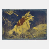 ひまわりイエローブルースケッチアートヴィンテージアンティーク ラッピングペーパーシート (正面3)