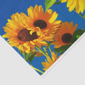 ひまわりイン開花ティッシュペーパー 薄葉紙 (詳細)