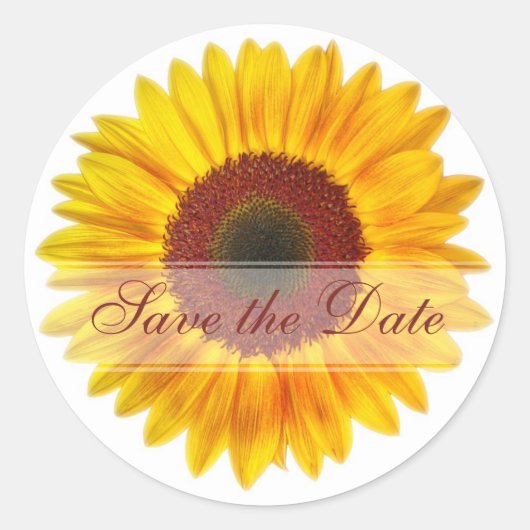 ひまわりカスタムフローラシール ラウンドシール (正面)