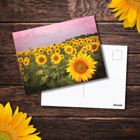 ひまわりカラフル花写真国写真 ポストカード