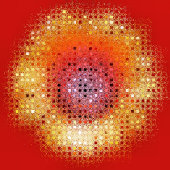 ひまわりカード