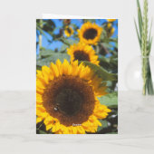 ひまわりカード カード (裏面)