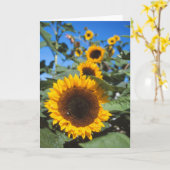 ひまわりカード カード (黄色い花)