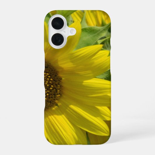 ひまわりガーデンiPhoneケース iPhone 16ケース (裏面)