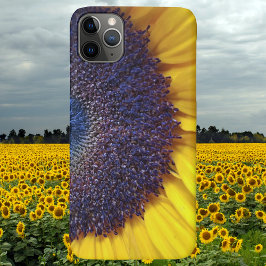 ひまわりクローズアップほとんど電話ケース iPhone 11 PRO MAXケース