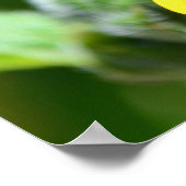 ひまわりクローズアップポスター ポスター (角)