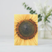 ひまわりクローズアップ写真はがき ポストカード (スタンド正面)