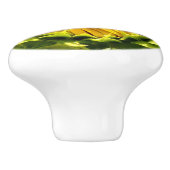 ひまわりクローズアップ セラミックノブ (側面)