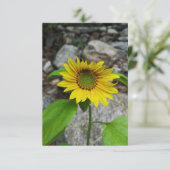 ひまわりグリーティングカード カード (スタンド正面)