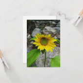 ひまわりグリーティングカード カード (正面/裏面インサイチュ)