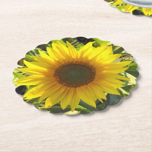 ひまわりグロー紙コースター ペーパーコースター (アングル)