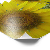 ひまわりコダックプロフェッショナルフォト紙（サテン） フォトプリント            (角)