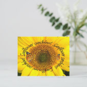 ひまわりサンシャイン ～ ポストカード (スタンド正面)