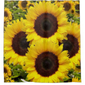 ひまわりシャワーカーテン シャワーカーテン (正面)