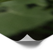 ひまわりシリーズ09 ポスター (角)