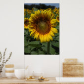 ひまわりシリーズ09 ポスター (キッチン)