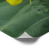 ひまわりシリーズ ポスター (角)