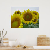 ひまわりシリーズ ポスター (キッチン)